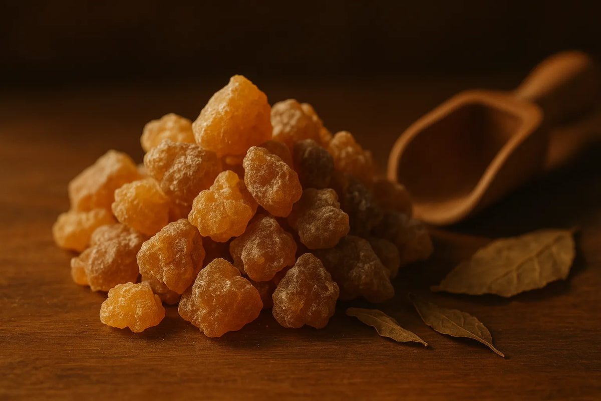 ZDJĘCIE 15 — żywica Boswellia